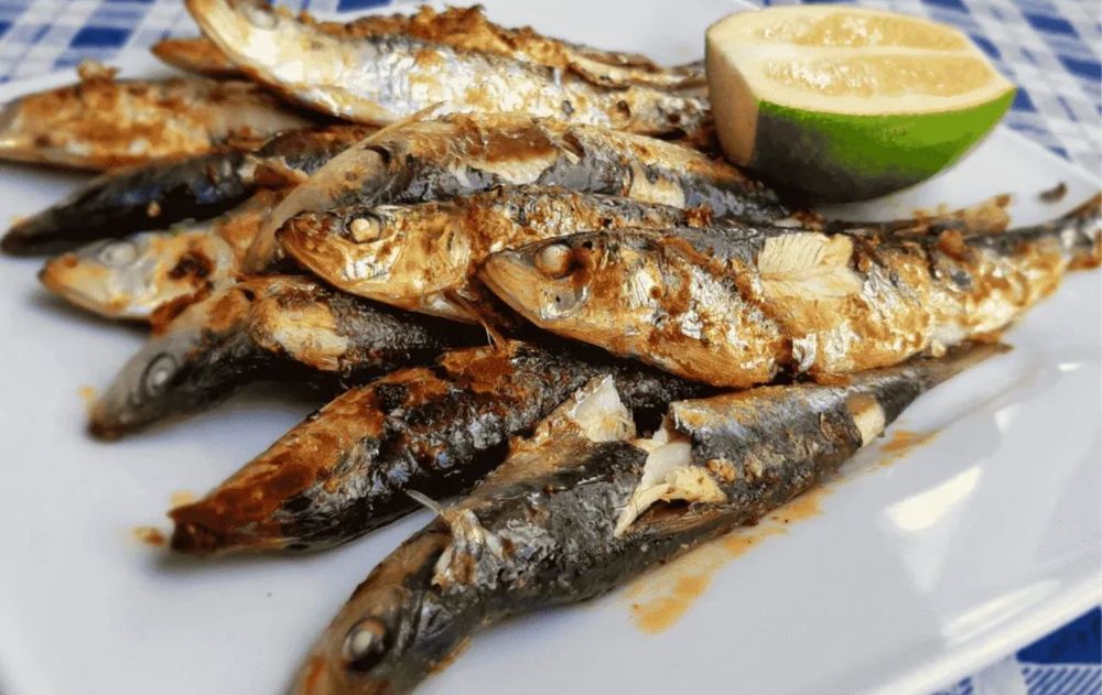 El salmón continúa siendo una referencia popular en la alimentación y el cuidado, pero existen opciones económicas.