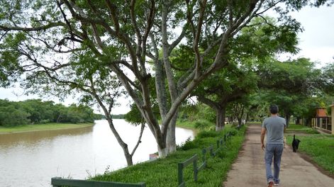 La restauración de un 20% de hábitat nativo dentro de paisajes productivos es un objetivo que brinda una oportunidad incomparable para mejorar simultáneamente la biodiversidad.