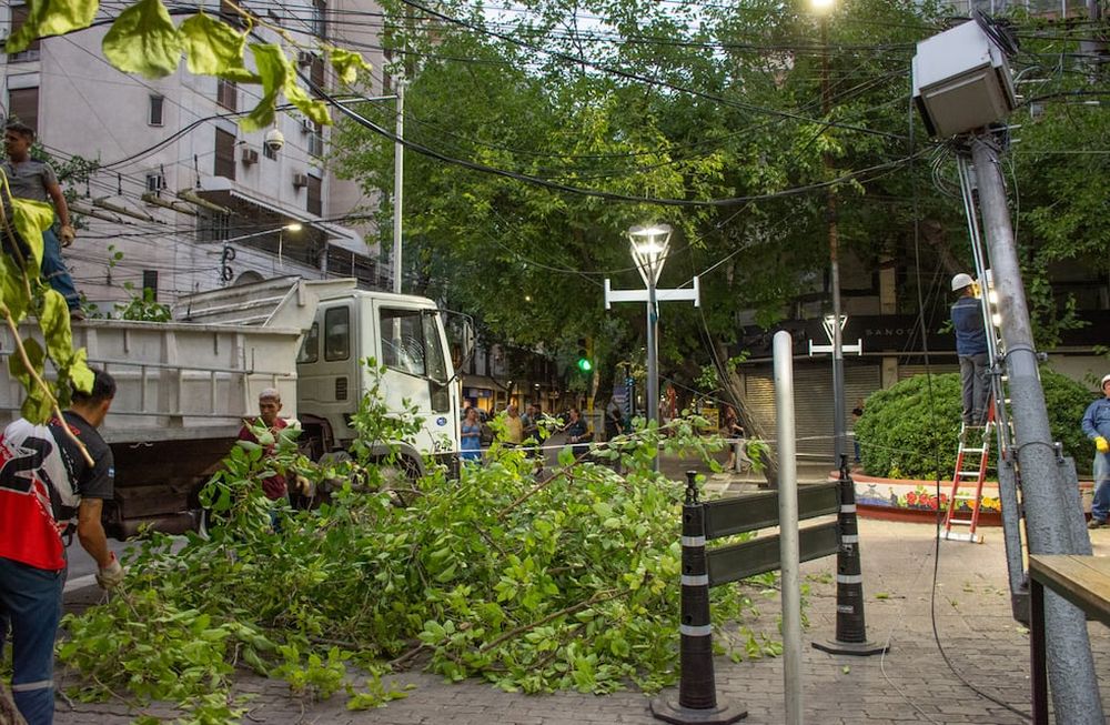 Se quebró un árbol en la Peatonal y una de las mitades quedó suspendida en los cables de luz, eñ peso del tronco arrastró al poste de luz que está llegando a la esquina.Foto: Mariana Villa / Los Andes
