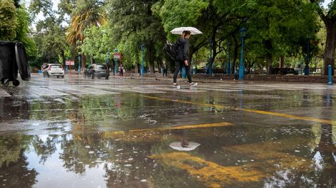 Lo que la tormenta dejó: cables cortados, árboles caídos, casas inundadas y un muerto Foto: Ignacio Blanco / Los Andes