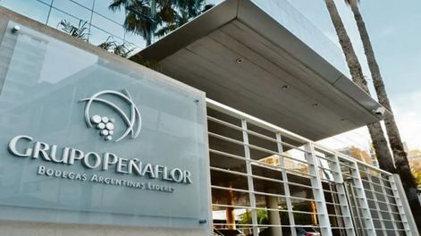 Grupo Peñaflor busca trabajadores para la temporada de Vendimia 2025. Foto: Gentileza