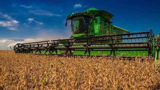 Las nuevas restricciones del Banco Central para el acceso al “dólar MEP” o “dólar de contado con liquidación” (CCL) afectará al 40% de quienes han venido liquidando soja.