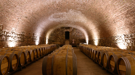 El municipio de Godoy Cruz jugará un papel central por la ubicación estratégica de la bodega Arizu.