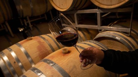 Menos elaboración: Muchas bodegas se quedaronen el camino a pesar de que la industria está creciendo.  Foto: Ignacio Blanco / Los andes.