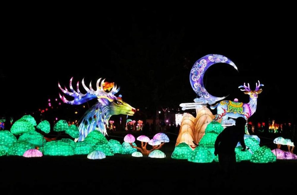 Tianfu Festival, el primer Festival de Luces Chinas de Argentina