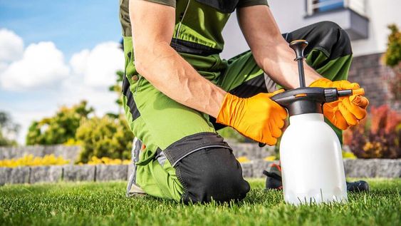 ¿Qué tanto saben los mendocinos sobre insecticidas y su toxicidad?