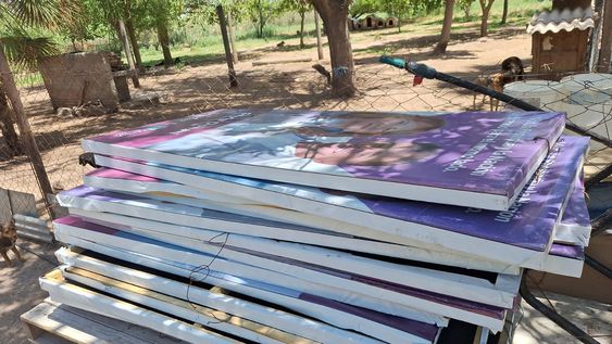 construiran refugios para perros y gatos callejeros con carteles de la campana politica