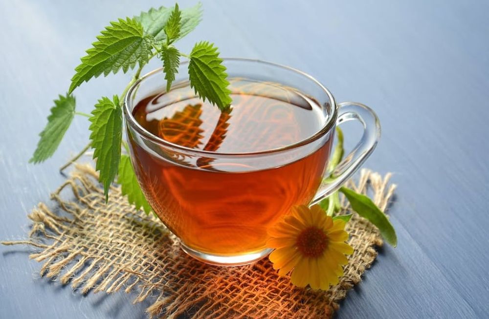 Descubrí los increíbles beneficios para la salud que tiene consumir a diario manzanilla