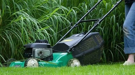 Los Andes | 4657GJNJEBHW3GDAL3SC3VIUYQ.jpg?quality=75&smart=true&auth=5c85f2fd08da35cd8ed2d7b039edd7690892a47eac929f628e92231cf6b6d3ce&width=980&height=640