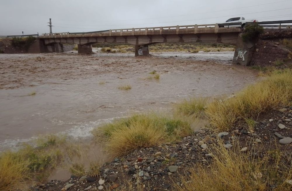 Irrigación evita desbordes en Malargüe