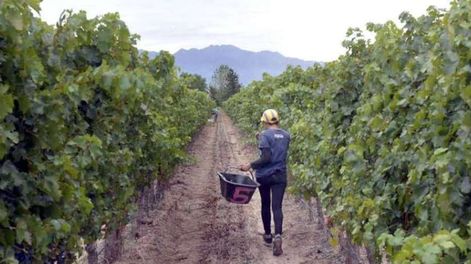 Producción agrícola: la presión es cada vez más intensa - Por José A. Portela
