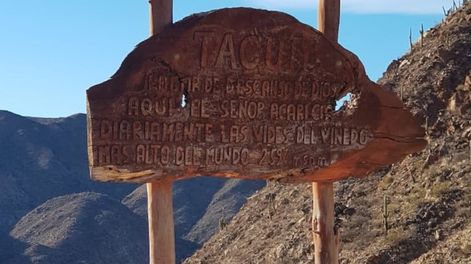 Los viñedos de Tacuil llegan hasta los 2.700 metros. - Gentileza