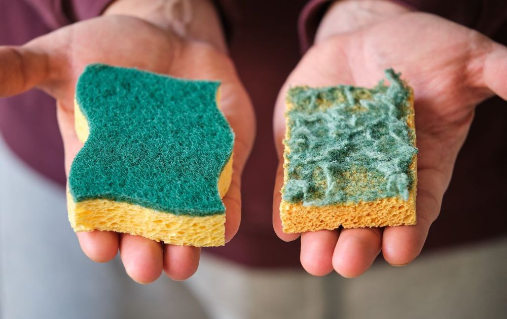 Este hábito elimina las bacterias y es un complemento útil y sencillo para agregar en la limpieza.