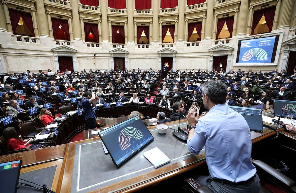 Tras la multitudinaria marcha realizada ayer por las Universidades y partidos opositores, el Gobierno publicó este jueves en el Boletín Oficial el rechazo a la ley aprobada por el Congreso. (Prensa Diputados)