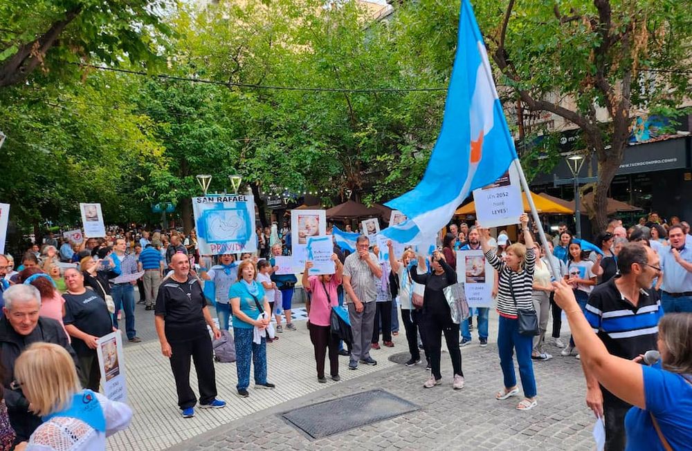 La marcha de Pro Vida pide la derogación de la ley de interrupción voluntaria del embarazo.