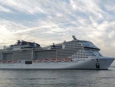 “Notificamos inmediatamente a las autoridades pertinentes, que ahora están llevando a cabo un examen de la ballena”, remarcó Sidney Sterling, director de relaciones mediáticas de MSC Cruises, Foto: Gentileza