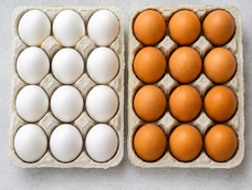 huevos blancos o colorados: que diferencias tienen y cual es mejor para cocinar huevos blancos o colorados: que diferencias tienen y cual es mejor para cocinar