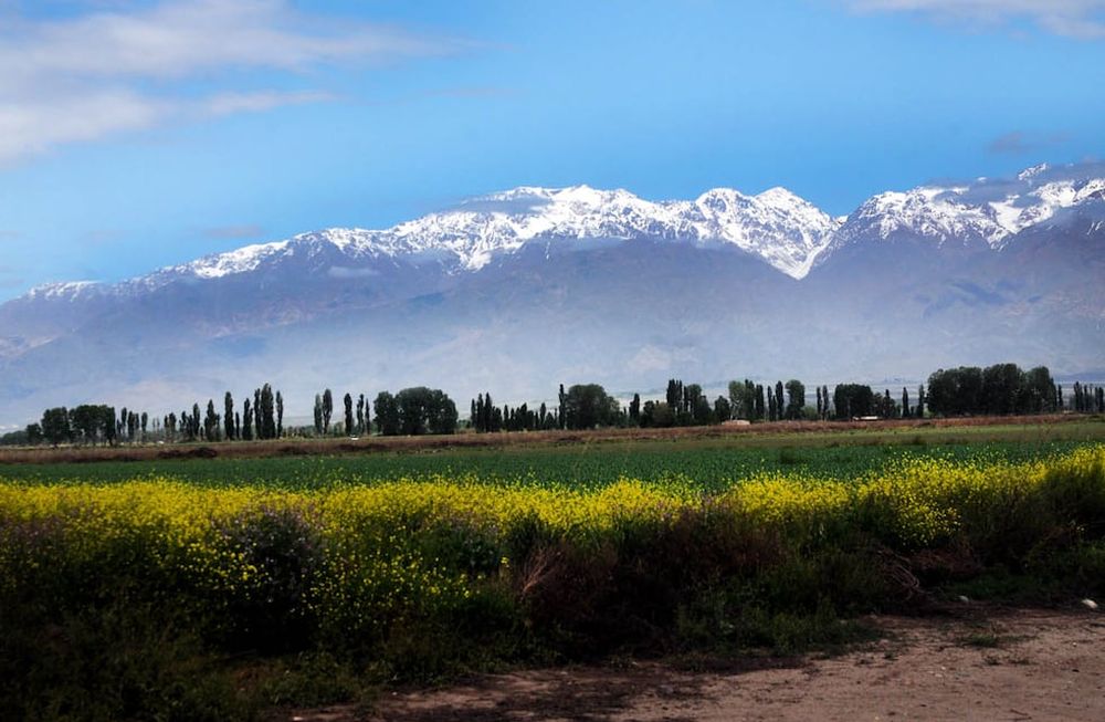 Valle de Uco: Sembrando el Futuro