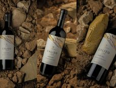 el mejor vino tinto del nuevo mundo es argentino el mejor vino tinto del nuevo mundo es argentino