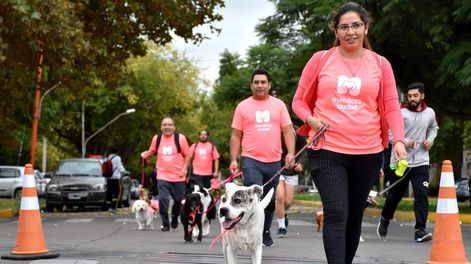 Sumate a la Maratón Animal Ciudad de Mendoza 2022