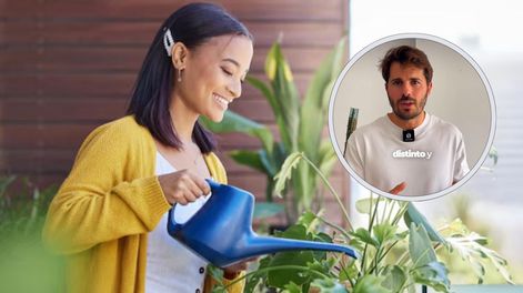 Álvaro Pedrera, experto en plantas: Si riegas tus plantas una vez a la semana, estás cometiendo un error