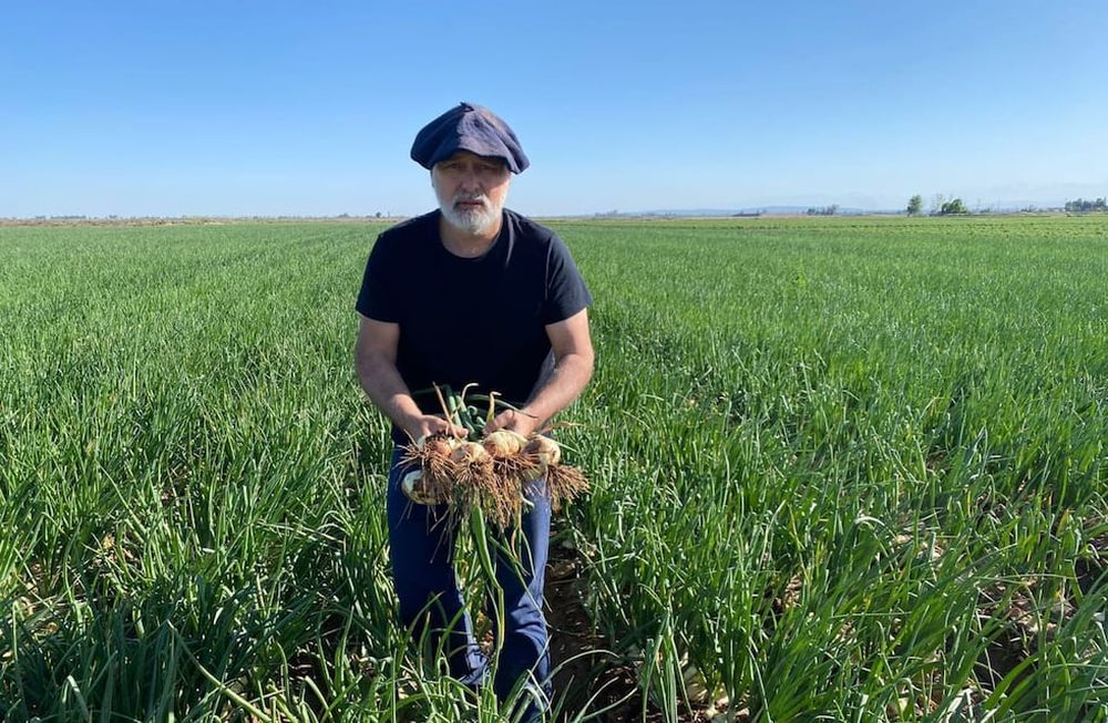Un pequeño grupo de productores mendocinos lograron consolidarse como proveedores de cebolla dulce al mundo. Fotos: Gentileza Agrícola Markalén