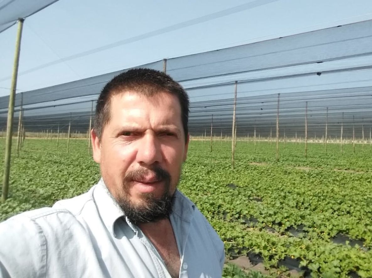 Entrevista a Enzo García productor de General Alvear, líder de un emprendimiento agrícola que produce ciruelas, duraznos, tomates y uva.