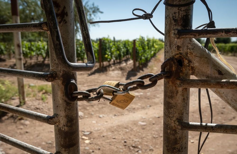 Inseguridad en viñedos, fincas y chacras de la provincia de Mendoza: los robos ya se han convertido en algo normal. Foto: Ignacio Blanco / Los Andes