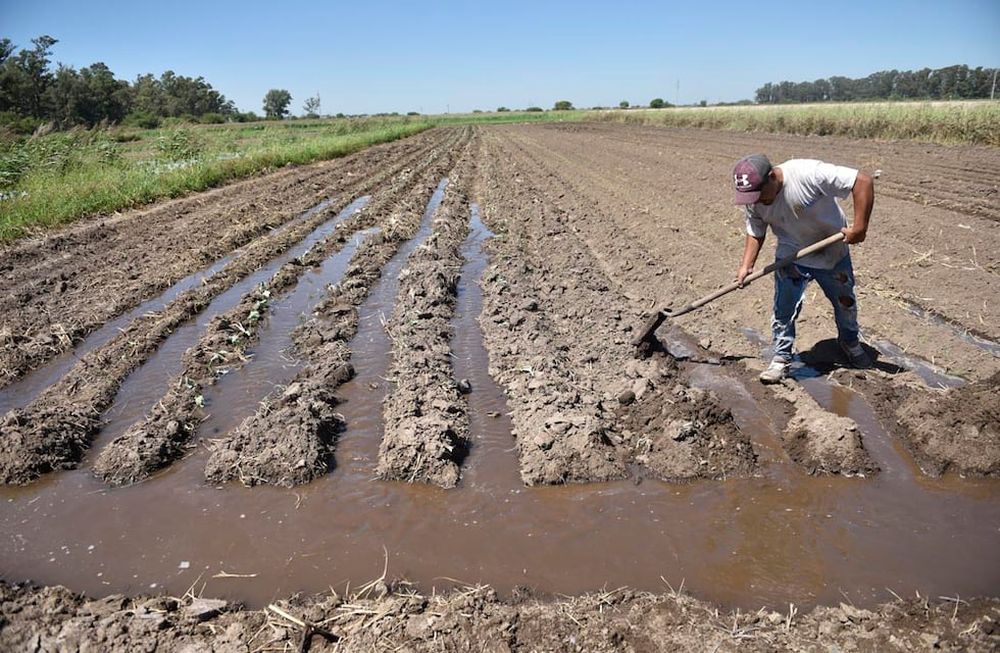 Casi uno de cada dos productores agropecuarios cree que es un buen momento para invertir