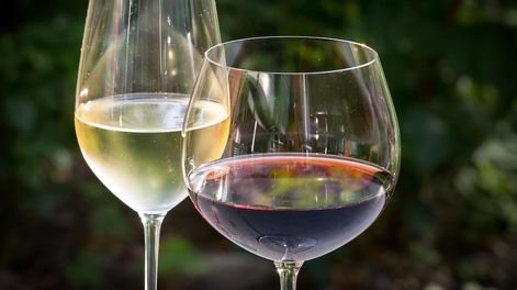 El precio del vino aumentó casi un 300% en el último año. Cómo impactó en el consumo y qué pasó con las bebidas sustitutas.