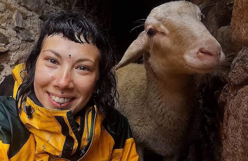 Almas Veganas compara a las granjas con centros de exterminio