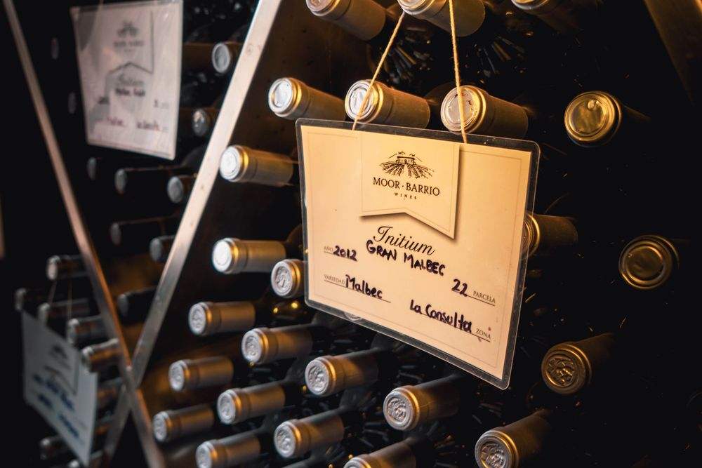 Un en&oacute;logo mendocino impulsa vinos de autor y una innovaci&oacute;n tecnol&oacute;gica para mejorar la experiencia de consumo