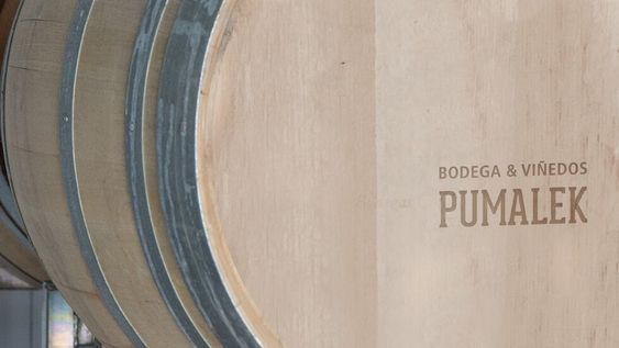 Los espumosos de Pumalek, en la feria de vinos de Guarda14