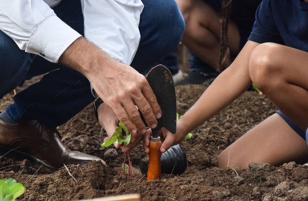 Godoy Cruz: un baldío fue convertido en huerta comunitaria