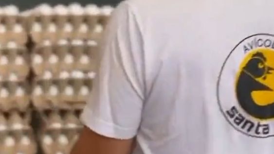 Aunque las pruebas por gripe aviar dieron negativo, el Senasa ordenó destruir 360.000 huevos y estalló la bronca. Foto: Captura Video.