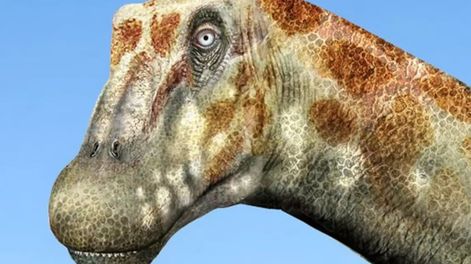 En el desierto chileno fueron hallados huesos fósiles de un nuevo dinosaurio herbívoro que ha sido denominado Arackar licanantay. Foto: Web