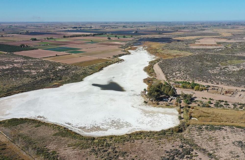 La laguna del Viborón prácticamente seca, con los campos agrícolas cultivados en su proximidad y la presencia del Club Cristóbal Colón, bajo la sombra de los árboles plantados por los primeros socios. Fuente: Los Andes