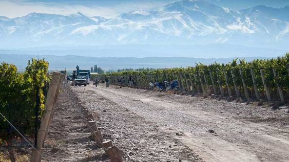 Las bodegas, el turismo y el paisaje de la vid y el vino en Mendoza