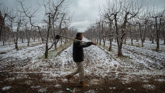 Para todo el territorio provincial se prevé una mayor probabilidad de ocurrencia de precipitación normal. Foto: Ignacio Blanco / Los Andes