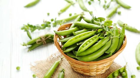 Los Andes | Nos damos cuenta de que la chaucha está madura y para cosechar, cuando se abre fácilmente al presionar entre los dedos. ¡Su sabor es espectacular!