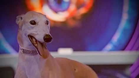 La nueva integrante de Gran Hermano que conmovió a todos con su historia.