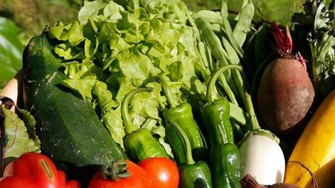 Hablemos de hortalizas, llamemos a las cosas por su nombre - Por José Luis Burba