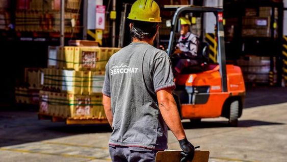 Construcción: las claves que explican el auge del sector