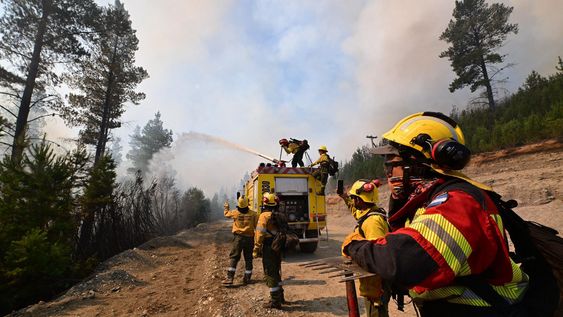 La Fiscalía provincial confirmó que el incendio forestal que se registró en la zona de Puerto Patriada, fue intencional, según informó el gobernador Ignacio Torres, quien le apuntó a los responsables y dijo que “van a terminar presos”.
