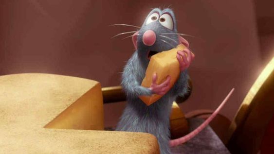 ¿Una rata en la cocina? Bake Off Argentina tuvo una visita inesperada