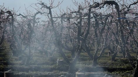 Heladas tardías en octubre - Foto archivo&nbsp;