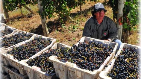 Ofrecimiento del Gobierno