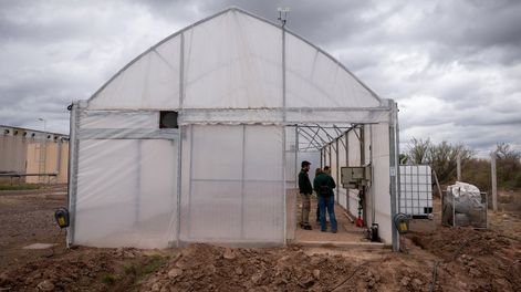 IscamenLaboratorio e invernadero para la producción e investigación de cannabis en la provincia de Mendoza ubicado en la Bioplanta de Iscamen en Santa Rosa Foto: Ignacio Blanco / Los Andes