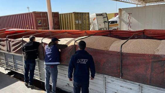 La Aduana secuestró 84.000 kilos de maíz que estaban en un depósito fiscal de Mendoza por “inconsistencias graves”.