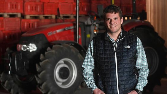 En todo el país se incrementó la superficie cultivada, Brasil aumentó su producción propia y no importará tanta hortaliza argentina. / Foto: José Gutierrez/Los Andes